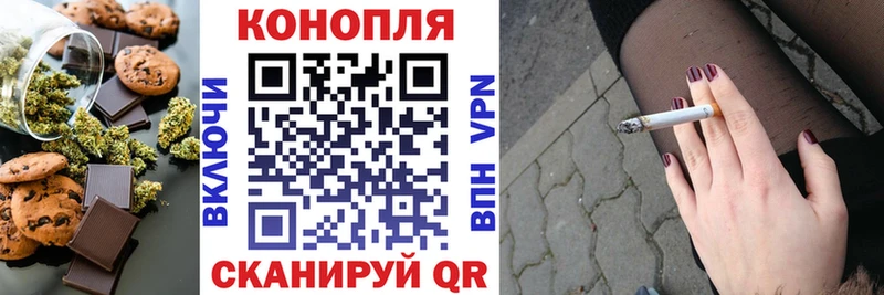 как найти   Ершов  Cannafood конопля 
