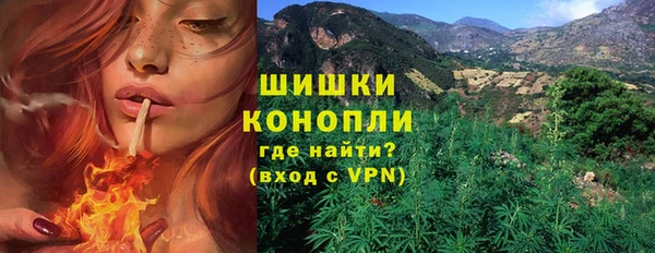 стаф Белокуриха