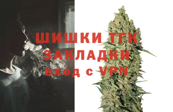 стаф Белокуриха
